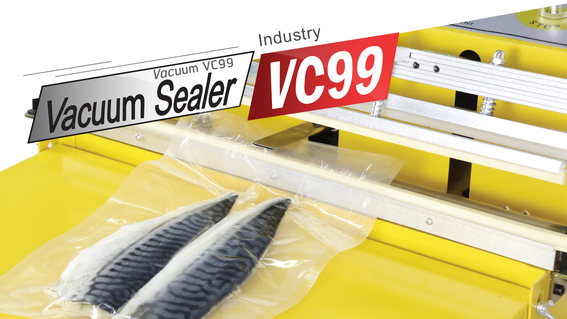 Vacuum-VC99-P2