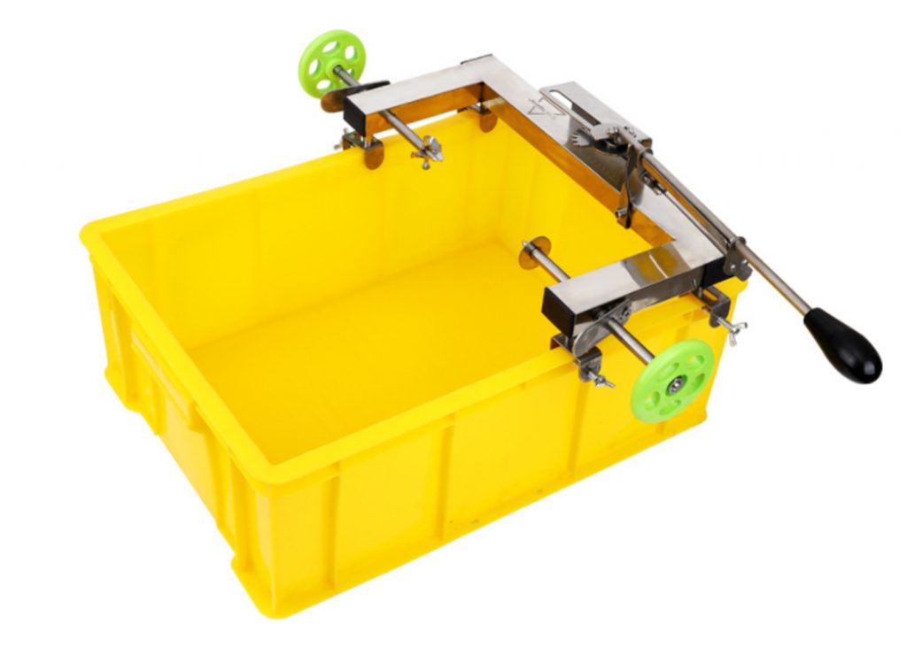 Pineapple cutting (PC) SGE Singapore